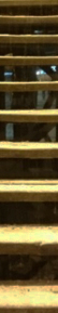 staris-3