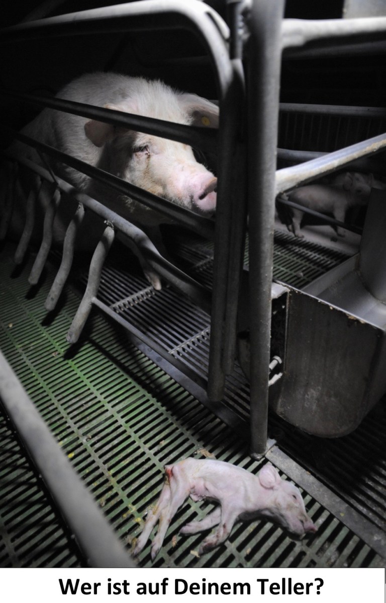 Novels4u.com – Literatur & Geschichten