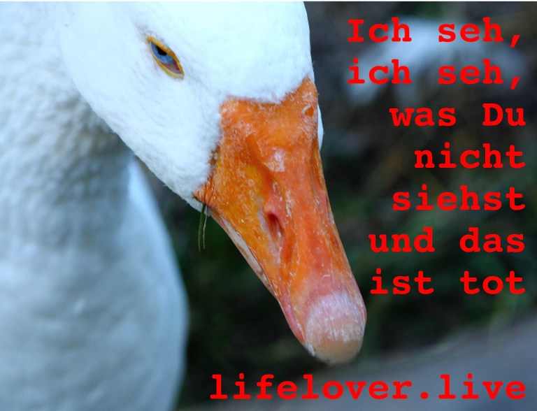 Novels4u.com – Literatur & Geschichten