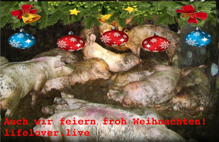 Novels4u.com – Literatur & Geschichten