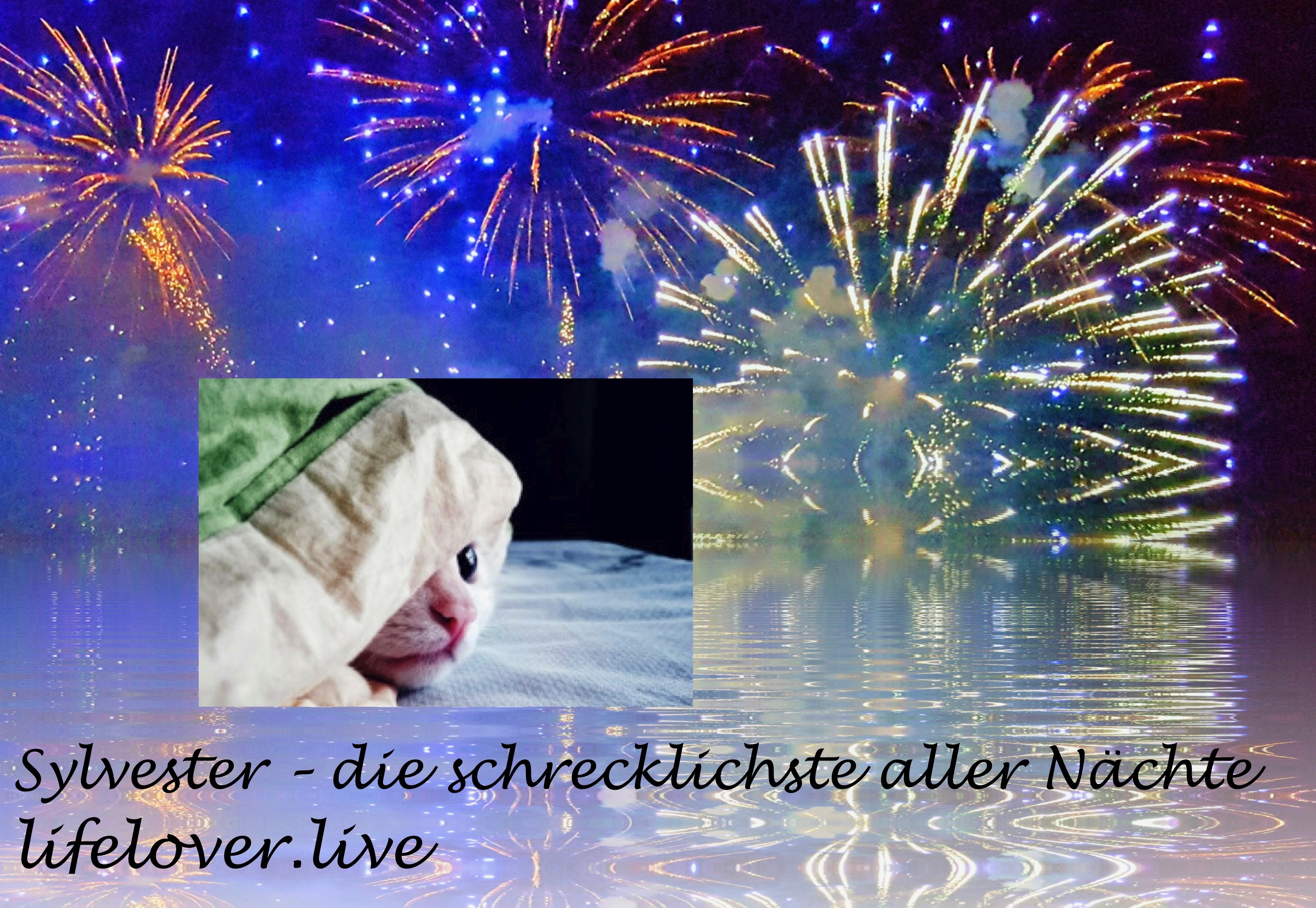 Novels4u.com – Literatur & Geschichten