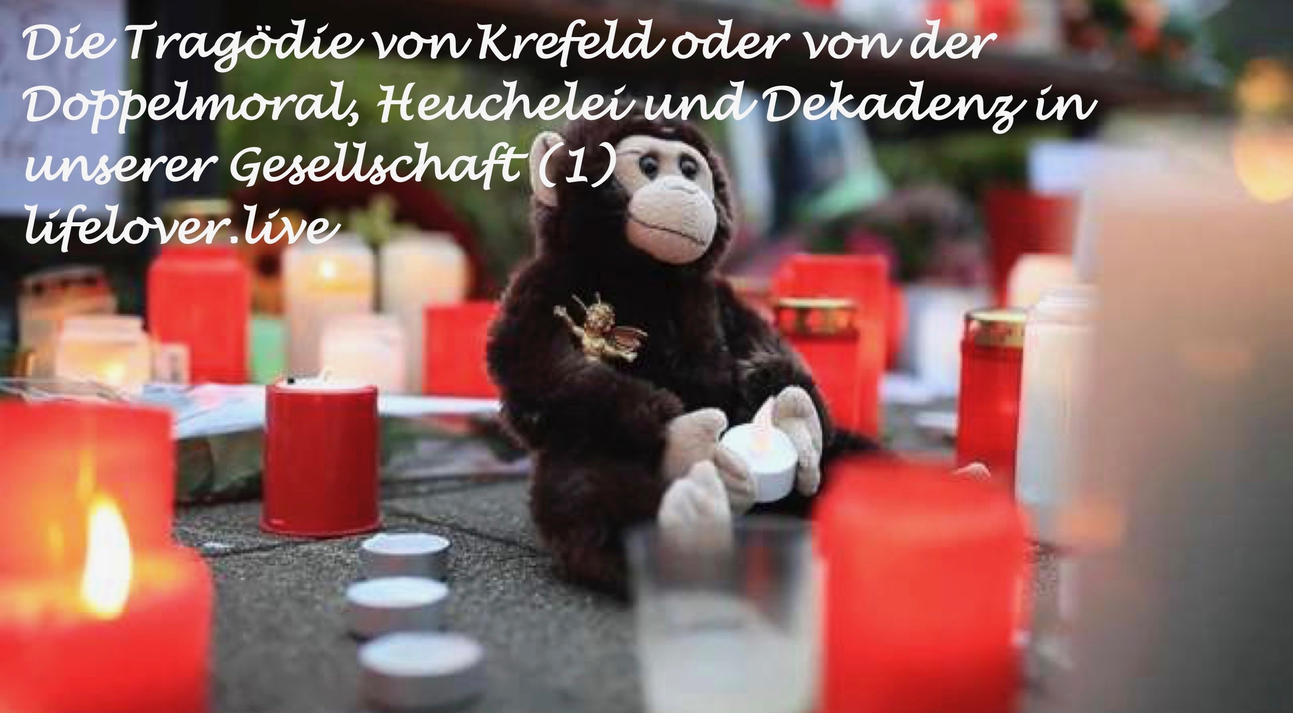 Novels4u.com – Literatur & Geschichten