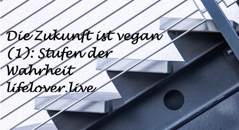 Novels4u.com – Literatur & Geschichten