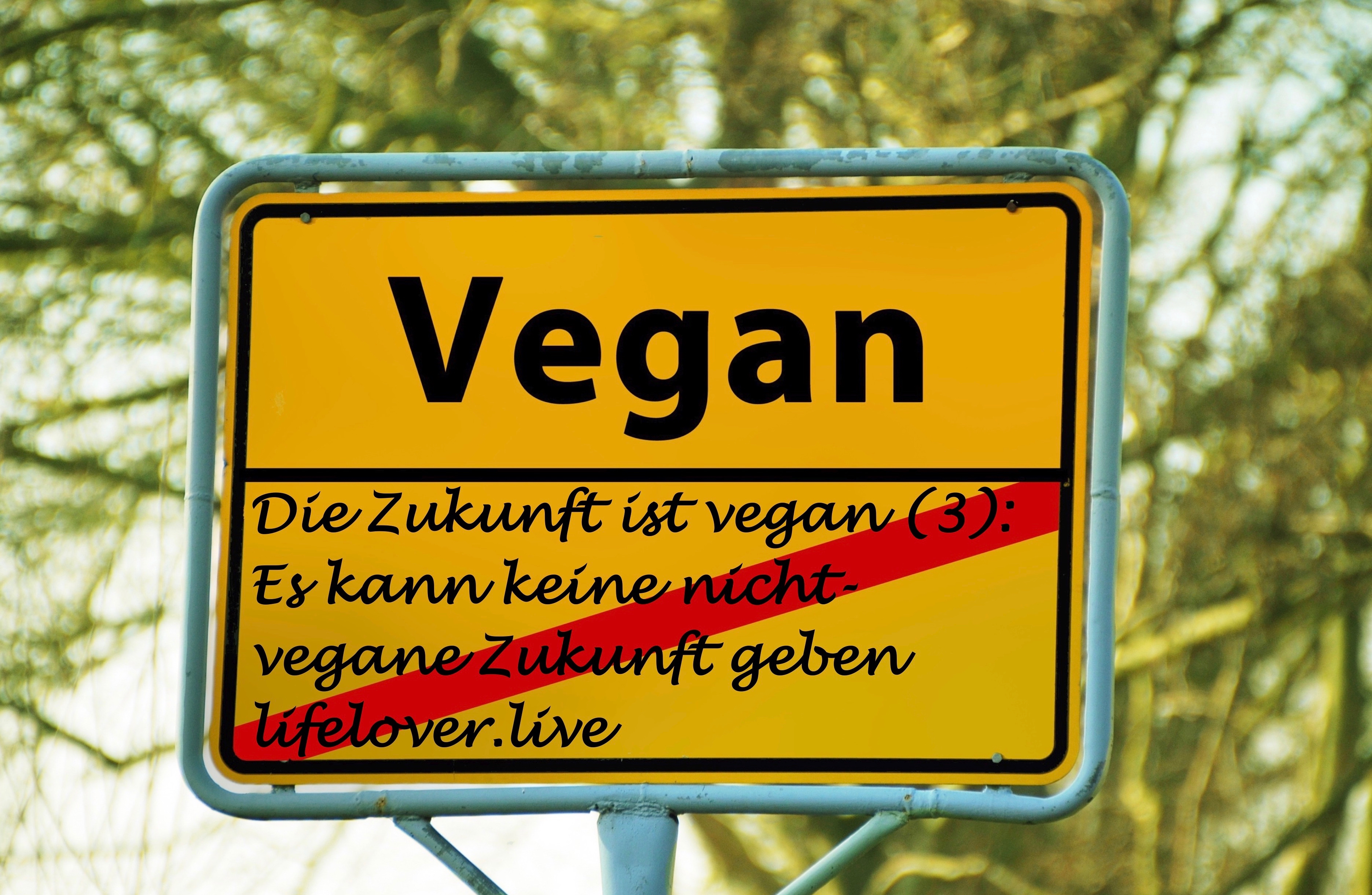 Novels4u.com – Literatur & Geschichten