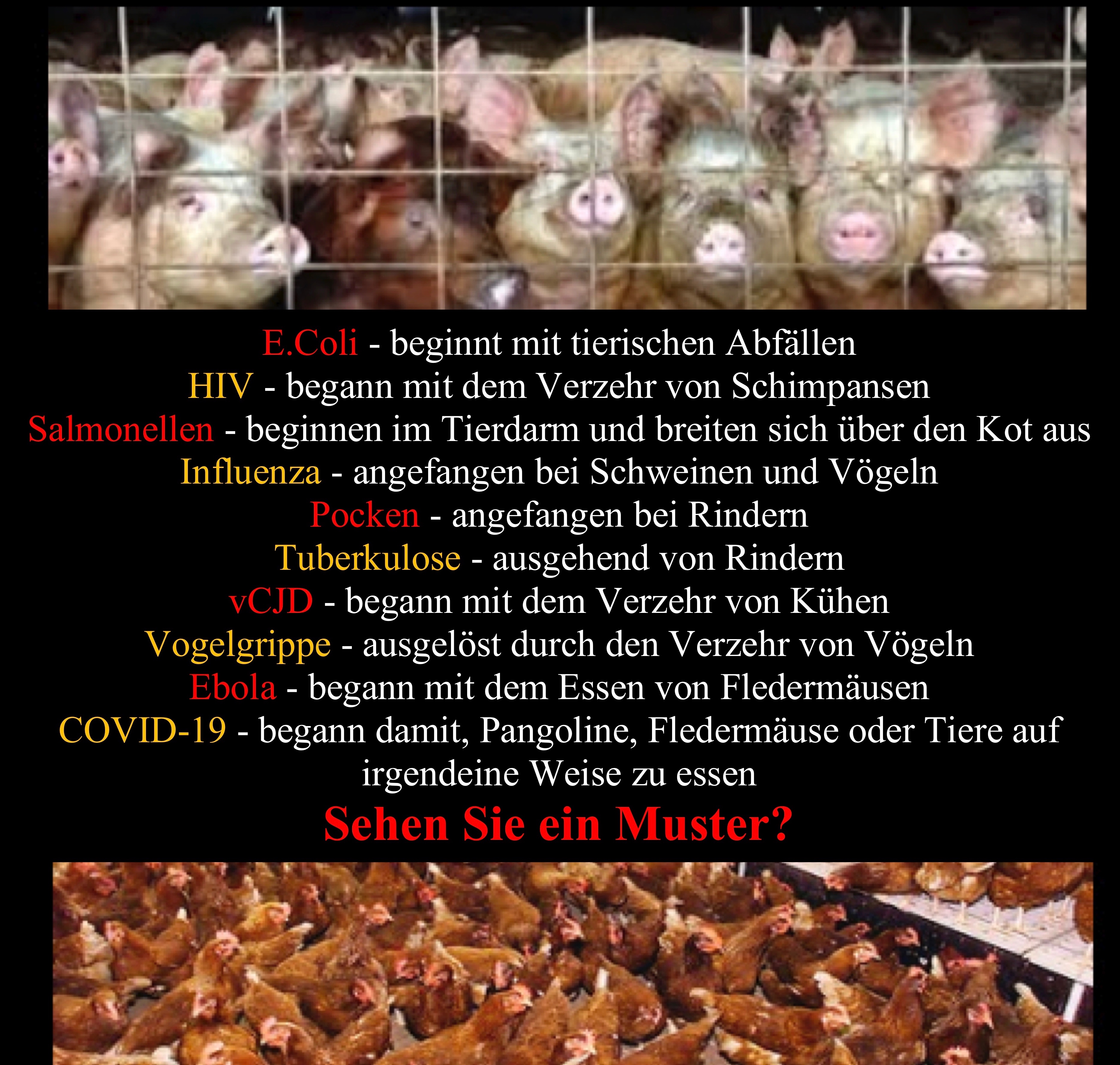 Novels4u.com – Literatur & Geschichten