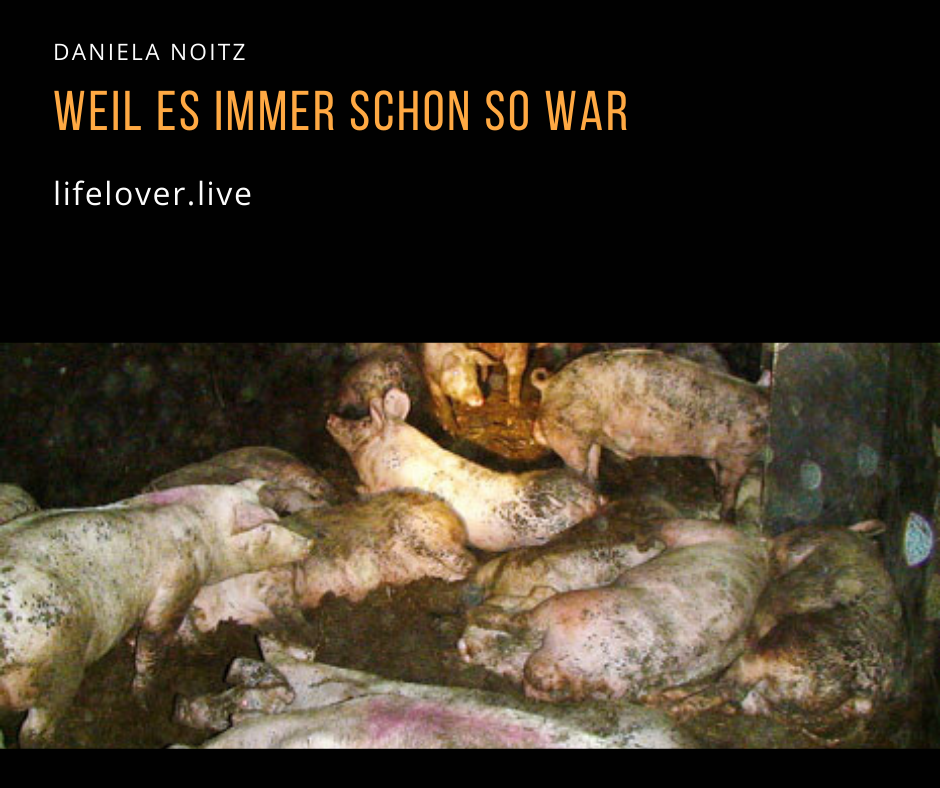 Novels4u.com – Literatur & Geschichten
