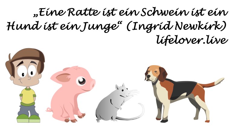 Novels4u.com – Literatur & Geschichten