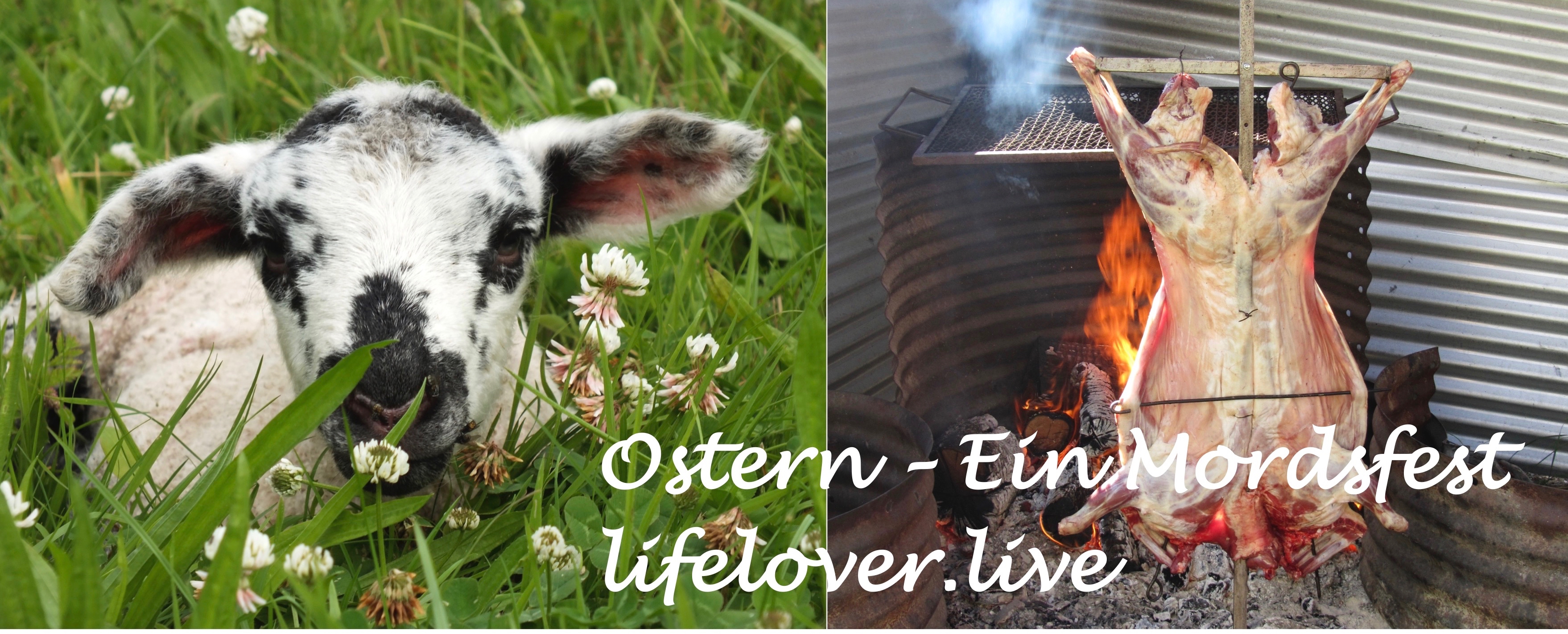 Novels4u.com – Literatur & Geschichten