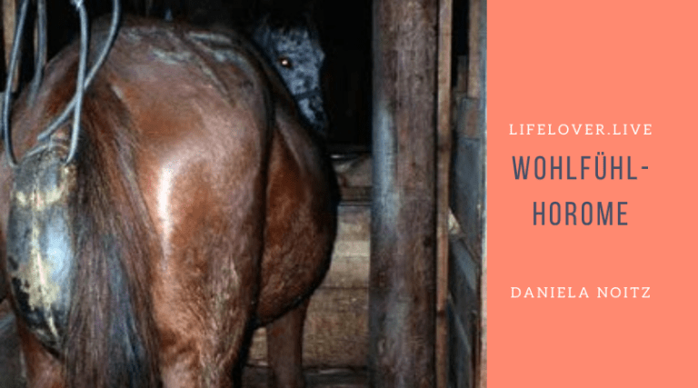 Novels4u.com – Literatur & Geschichten