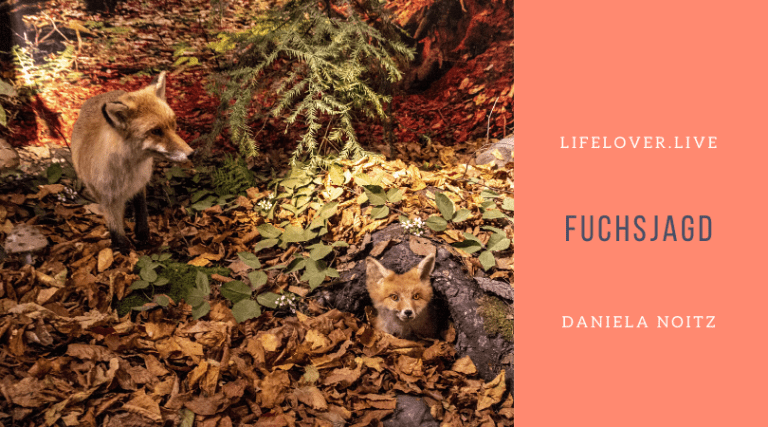 Novels4u.com – Literatur & Geschichten