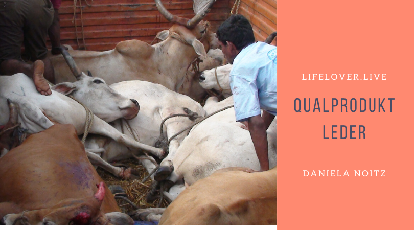 Novels4u.com – Literatur & Geschichten