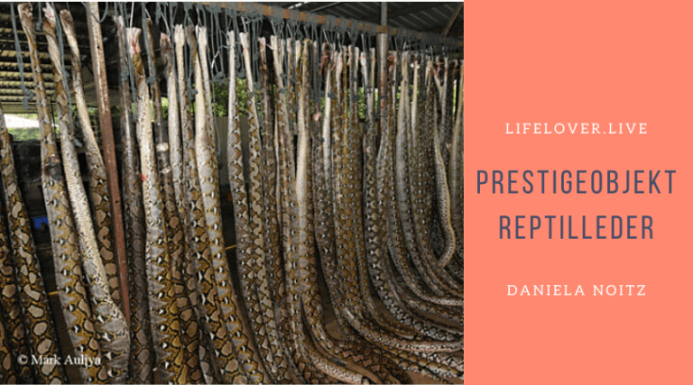 Novels4u.com – Literatur & Geschichten