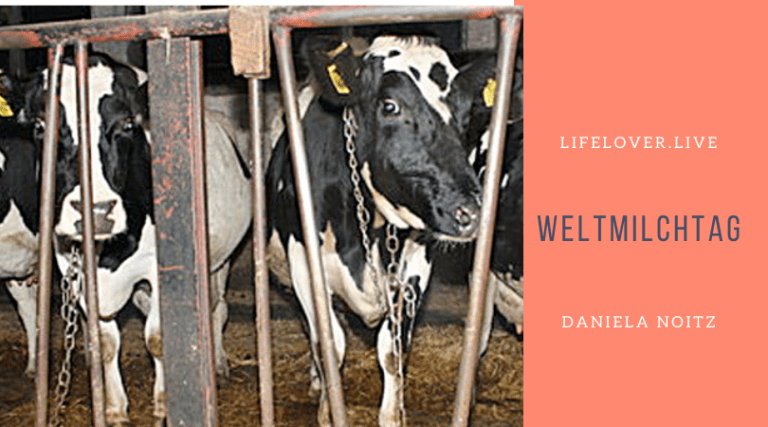 Novels4u.com – Literatur & Geschichten