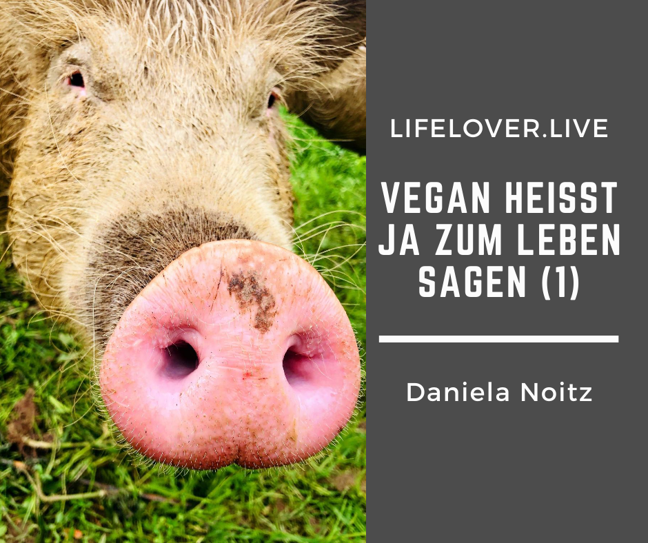 Novels4u.com – Literatur & Geschichten