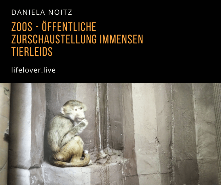 Novels4u.com – Literatur & Geschichten