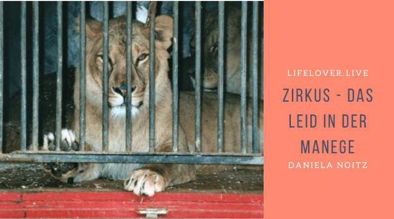 Novels4u.com – Literatur & Geschichten