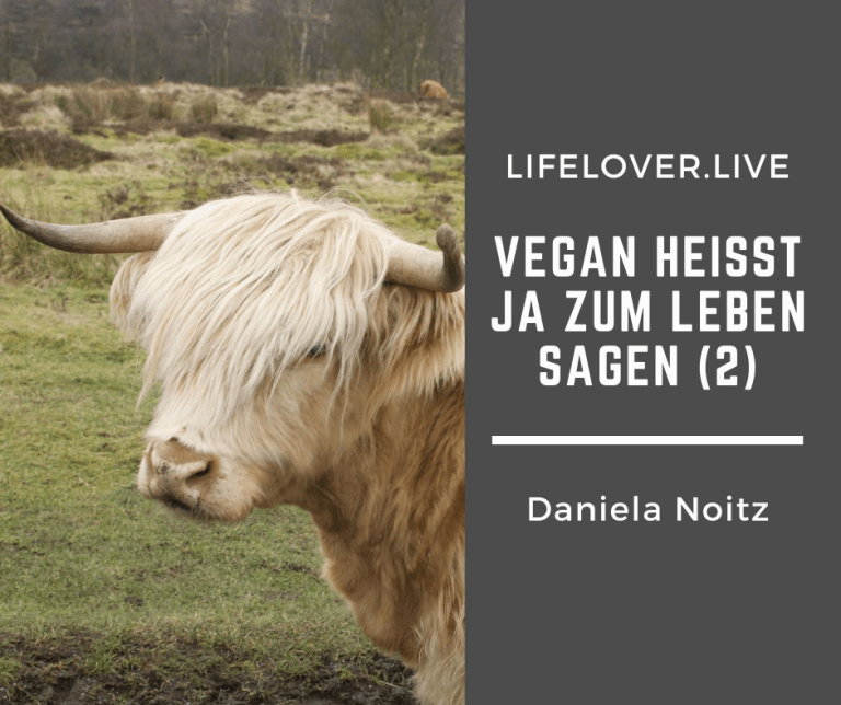 Novels4u.com – Literatur & Geschichten