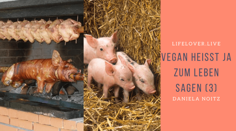 Novels4u.com – Literatur & Geschichten