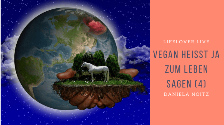 Novels4u.com – Literatur & Geschichten