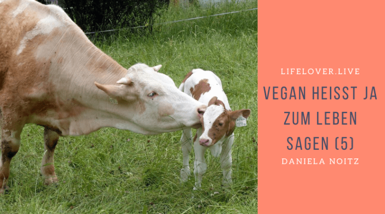 Novels4u.com – Literatur & Geschichten