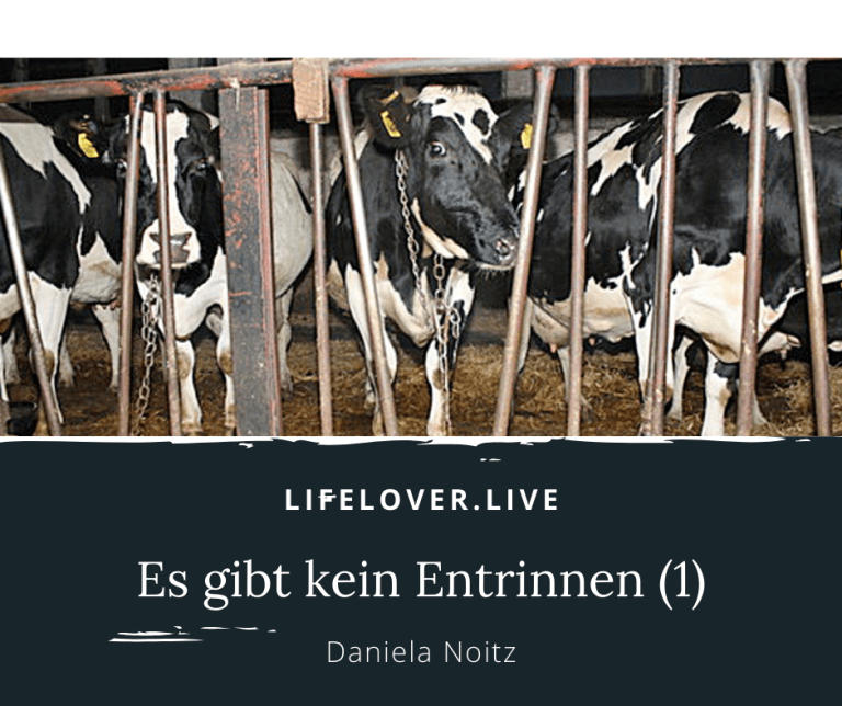 Novels4u.com – Literatur & Geschichten