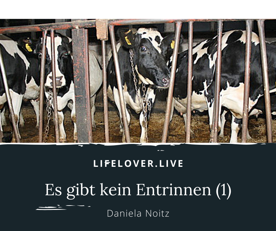 Novels4u.com – Literatur & Geschichten