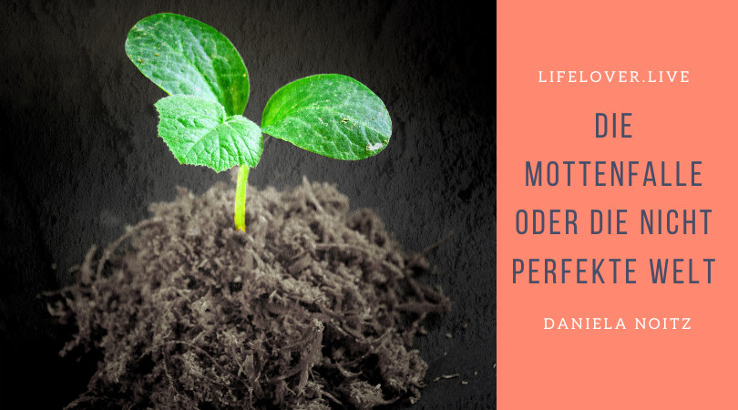 Novels4u.com – Literatur & Geschichten