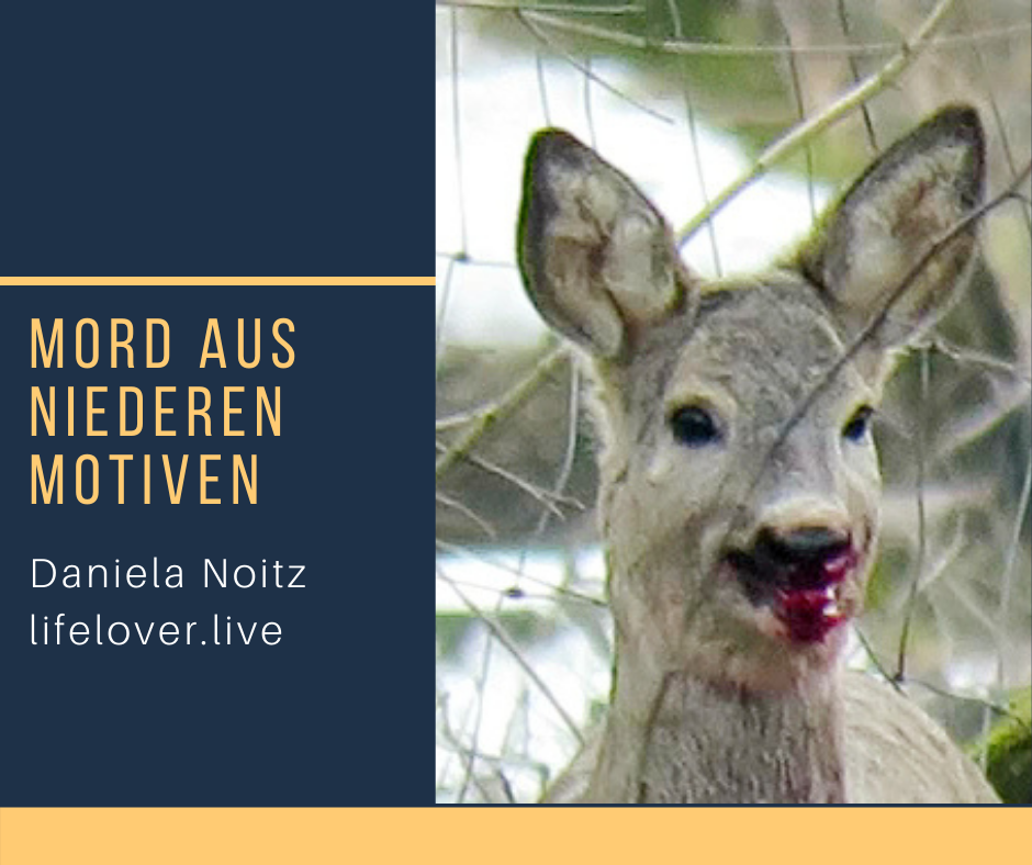 Novels4u.com – Literatur & Geschichten