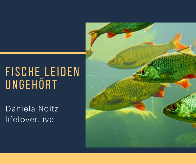 Novels4u.com – Literatur & Geschichten