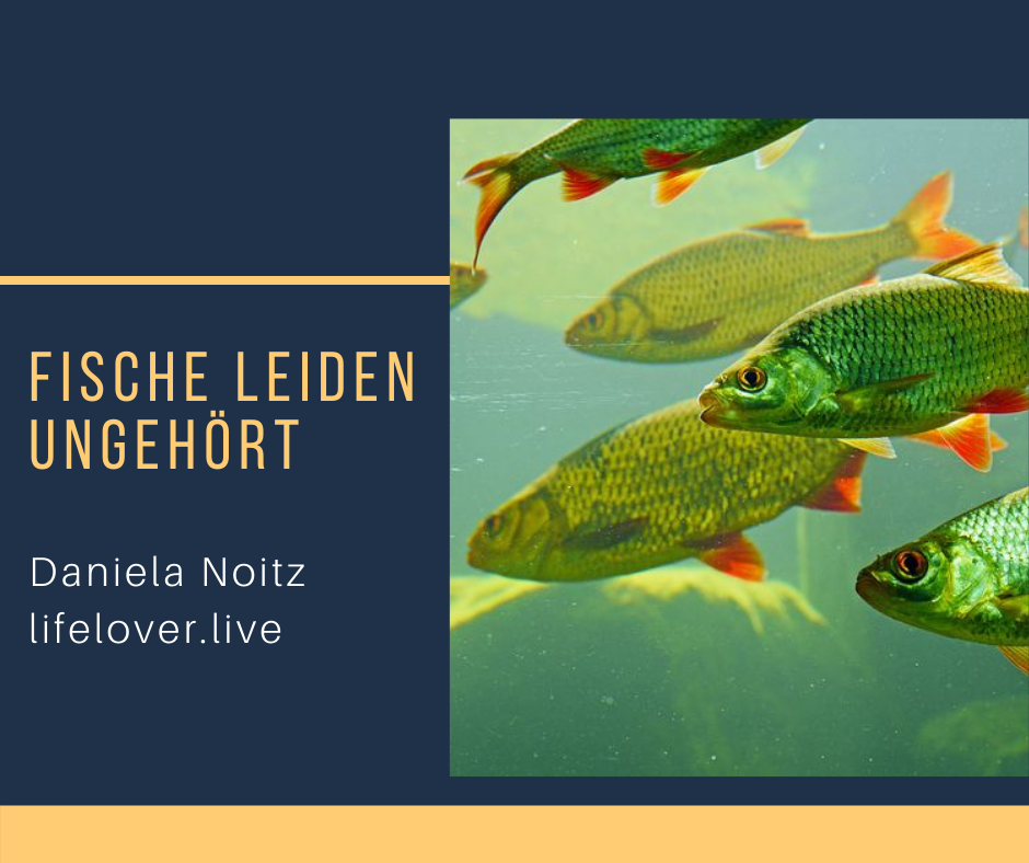 Novels4u.com – Literatur & Geschichten