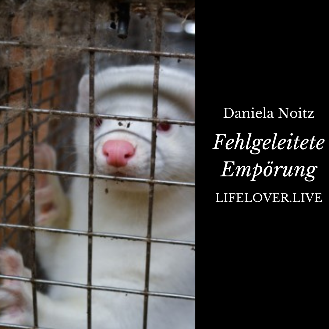 Novels4u.com – Literatur & Geschichten