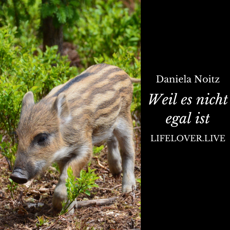 Novels4u.com – Literatur & Geschichten