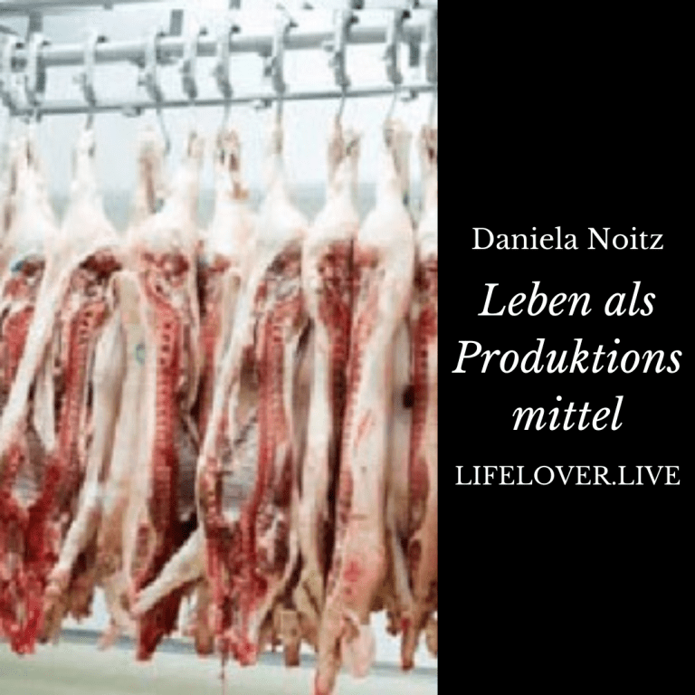 Novels4u.com – Literatur & Geschichten