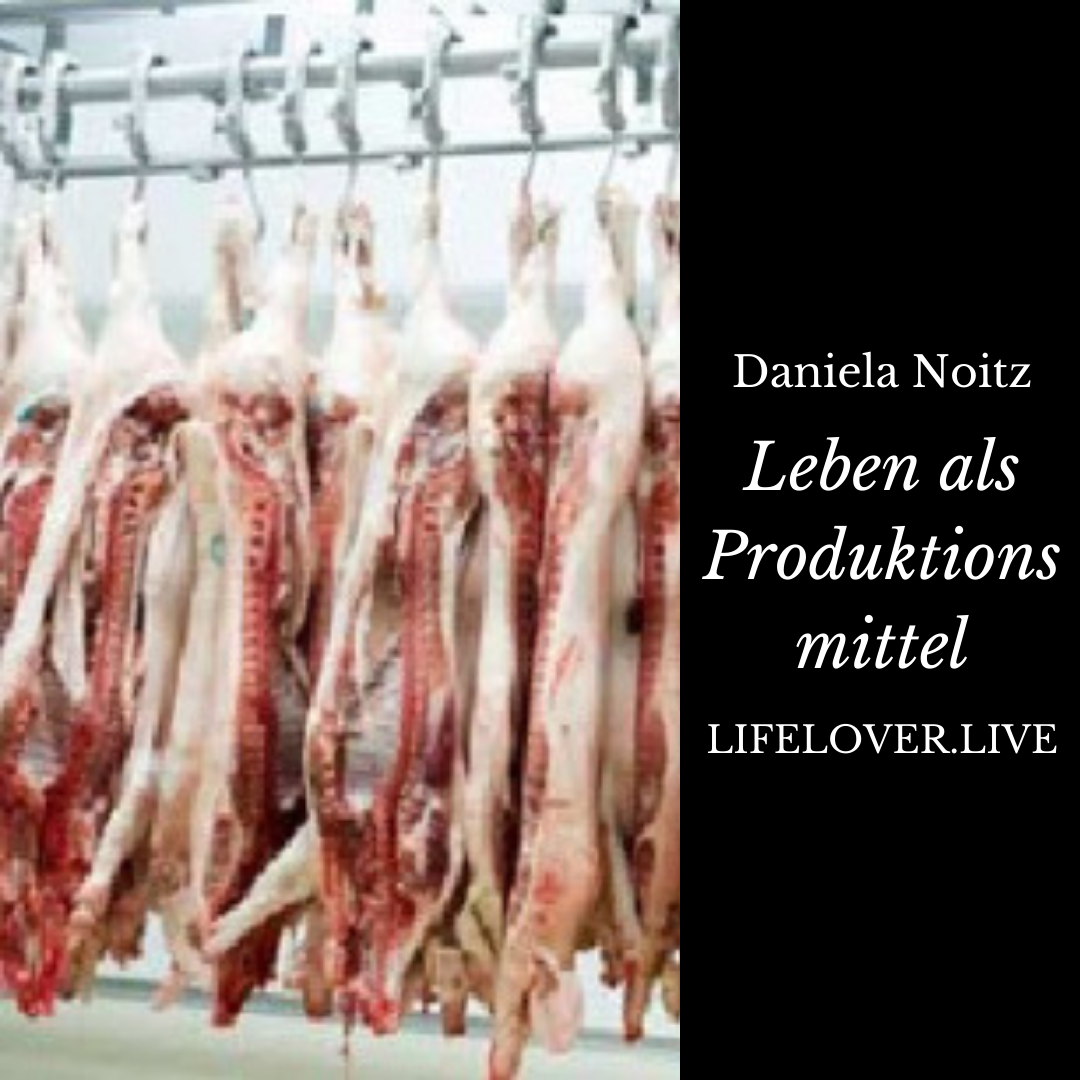 Novels4u.com – Literatur & Geschichten