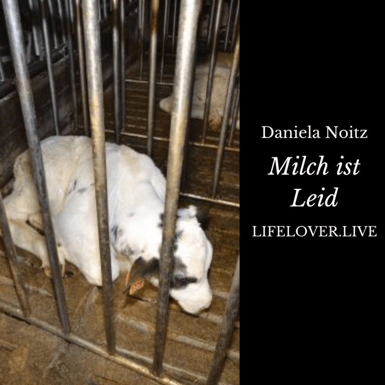 Novels4u.com – Literatur & Geschichten