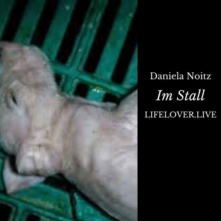 Novels4u.com – Literatur & Geschichten