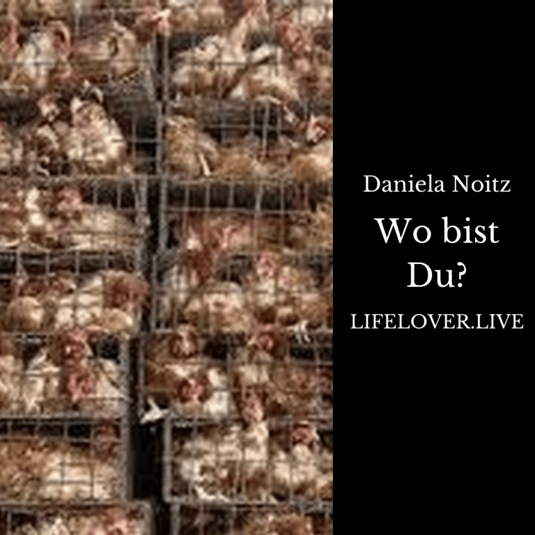 Novels4u.com – Literatur & Geschichten