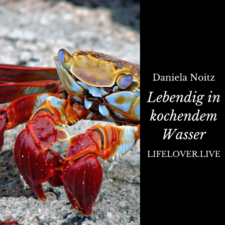 Novels4u.com – Literatur & Geschichten