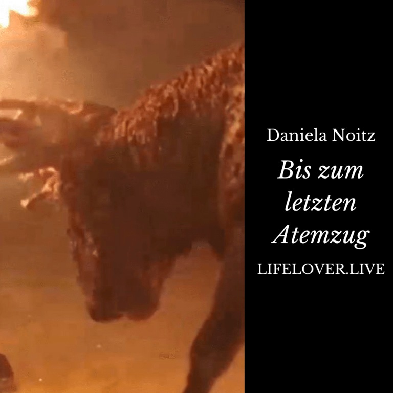 Novels4u.com – Literatur & Geschichten