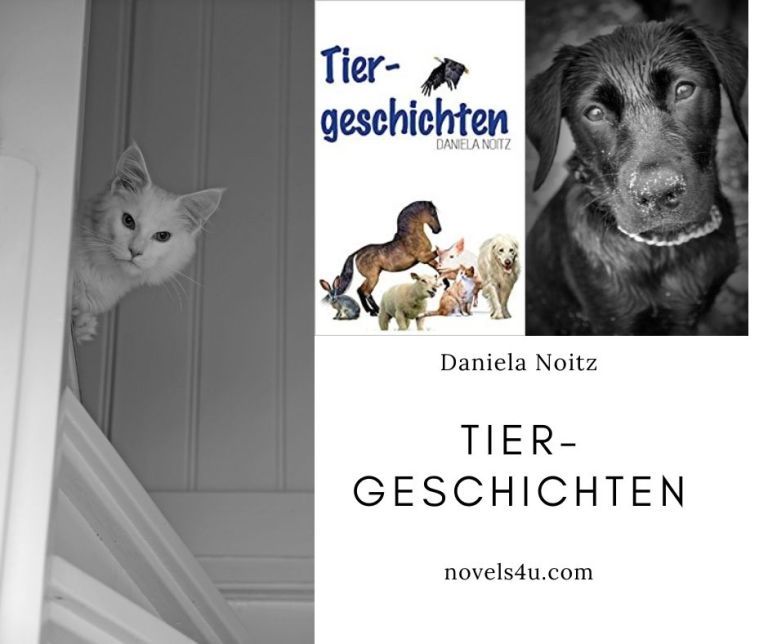 Tiergeschichten | Daniela Noitz | Kurzgeschichten – Novels4u Geschichten