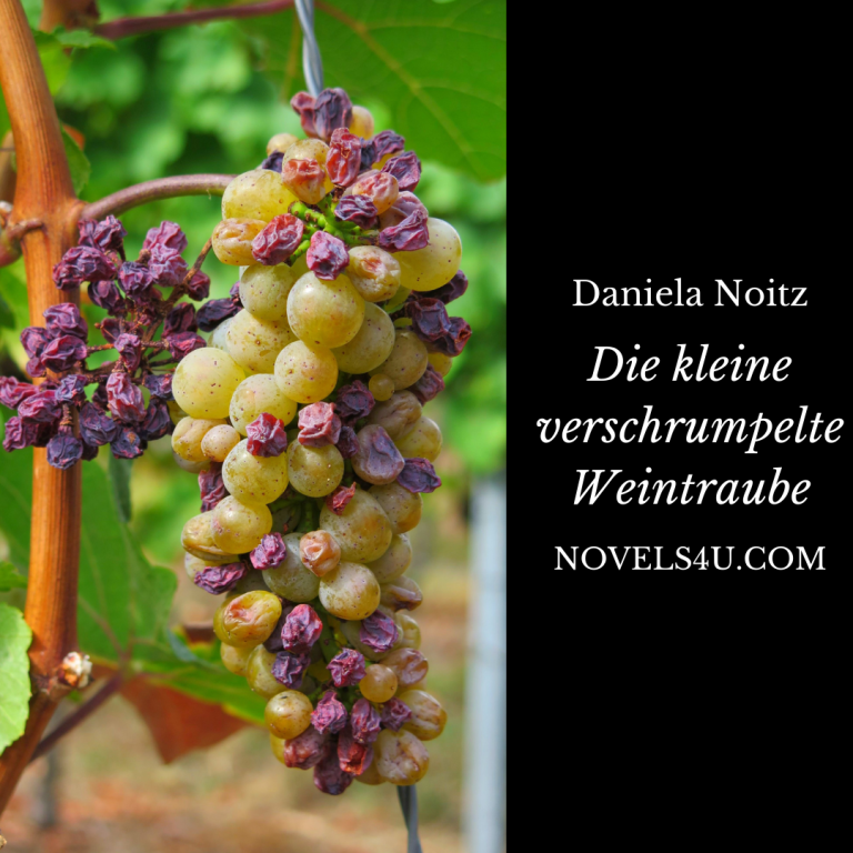 Die kleine verschrumpelte Weintraube – Alle Geschichten