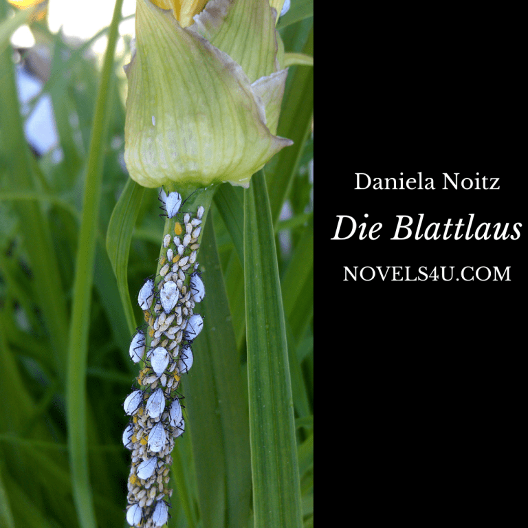 Novels4u.com – Literatur & Geschichten