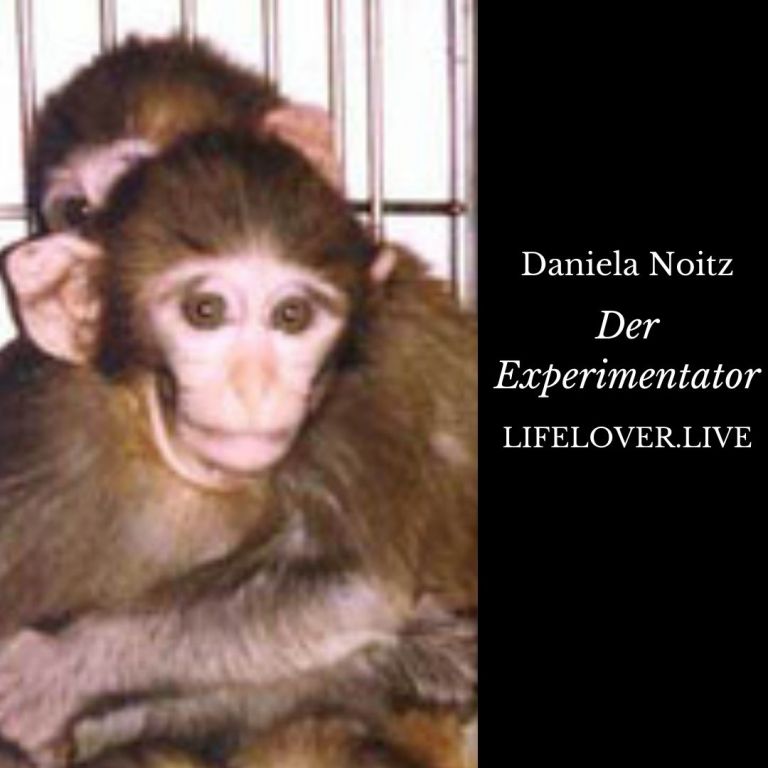 Novels4u.com – Literatur & Geschichten