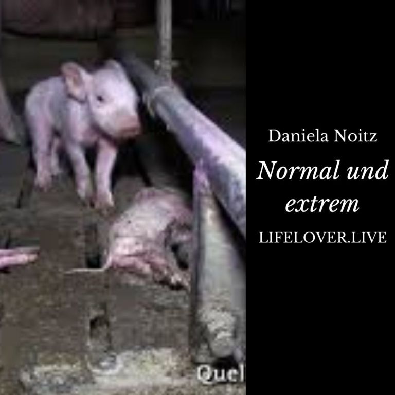 Novels4u.com – Literatur & Geschichten