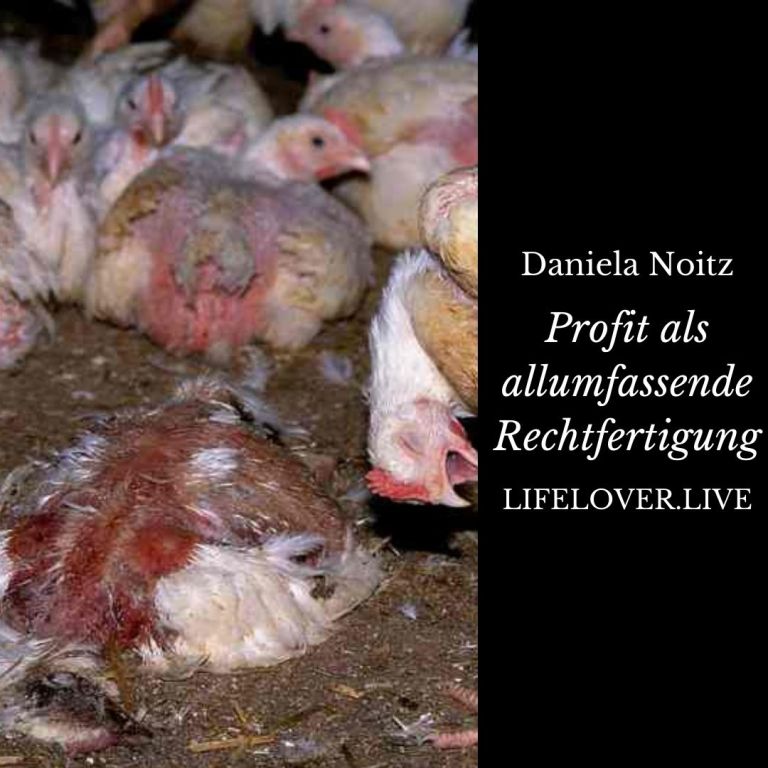 Novels4u.com – Literatur & Geschichten