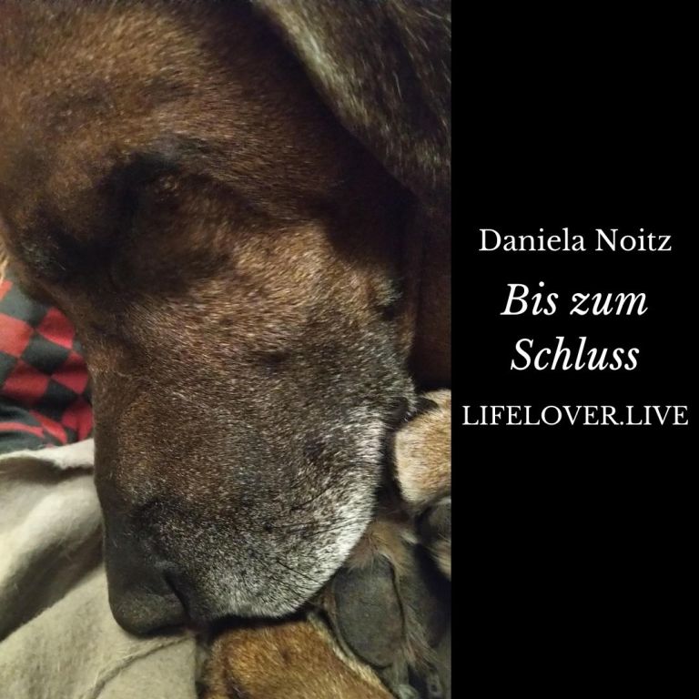 Bis zum Schluss – Alle Geschichten