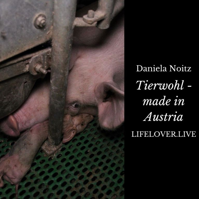 Tierwohl - Made in Austria – Aktivismus