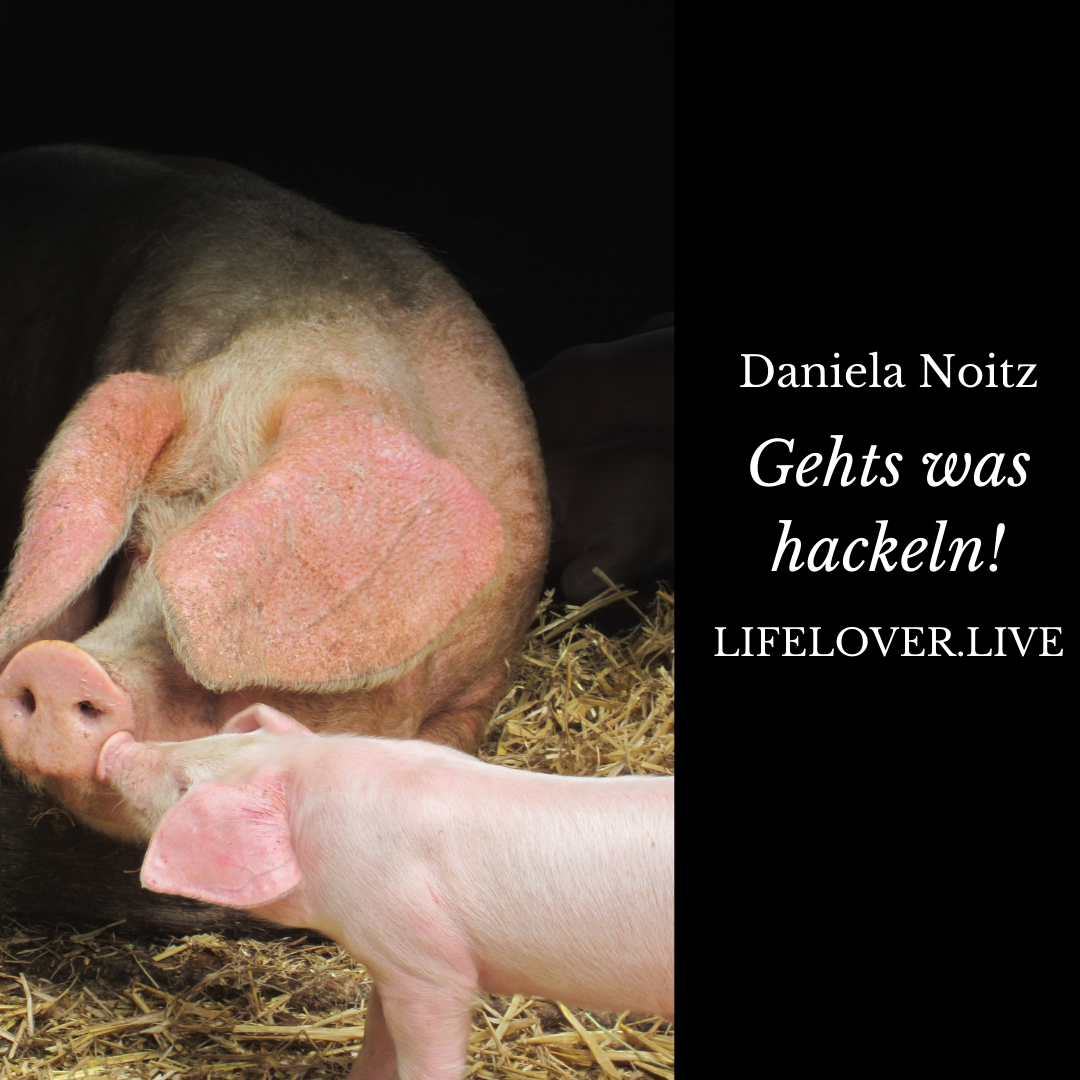 Gehts was hackeln! – Aktivismus