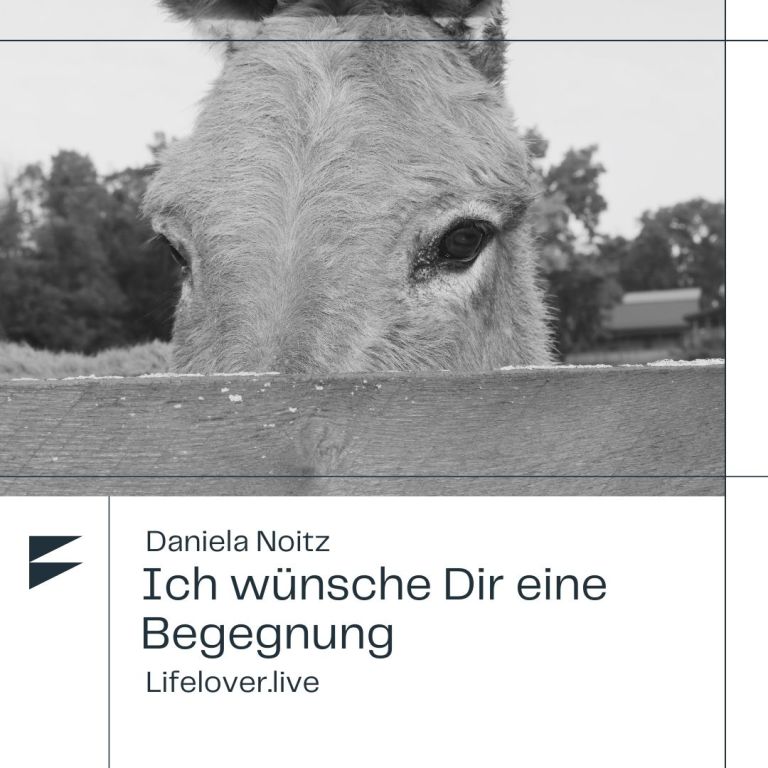 Ich wünsche Dir eine Begegnung – Alle Geschichten