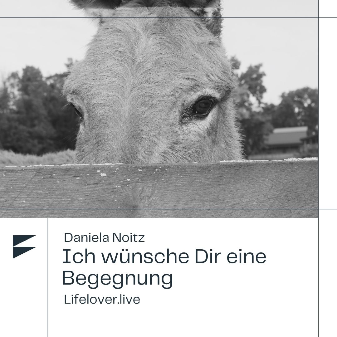 Ich wünsche Dir eine Begegnung – Alle Geschichten